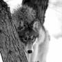 Kelly Werth Photo 24