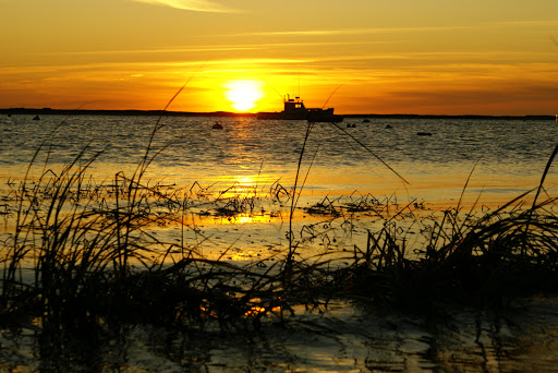 Dale Eldredge Photo 3