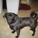 Nancy Beas Photo 13