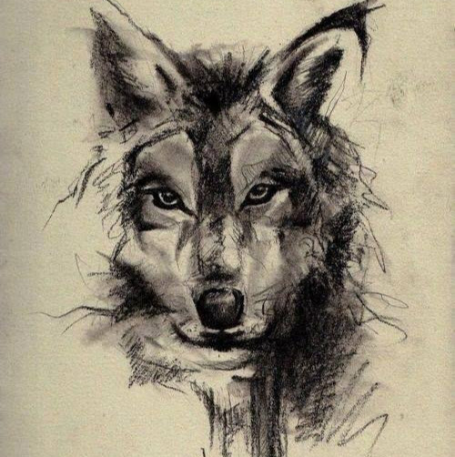 Ronald Daniel Photo 36