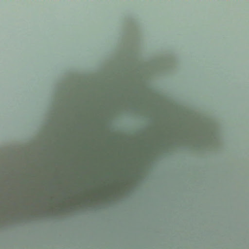 Ling Sun Photo 14