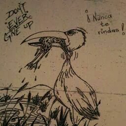 Efrain Benitez Photo 10