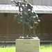 James Devane Photo 13