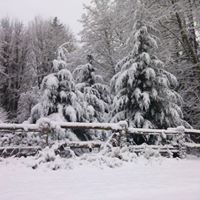 Pennie Cox Photo 5