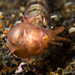 Gregory Schultz Photo 49