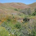 April Ridge Photo 9