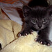 Jason Hammon Photo 13