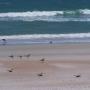 Nancy Betz Photo 28