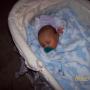 Angie Jamison Photo 11