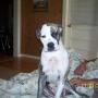 Kathy Mathis Photo 23