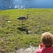 Kelly Herron Photo 25