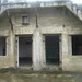 Harvey Allen Photo 12