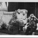 Jack Meeks Photo 42