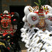 Kung Tam Photo 8