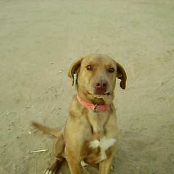 Stephanie Taunton Photo 7