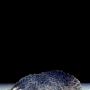 Darin King Photo 22
