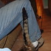 Tony Meeks Photo 20