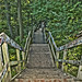 Glen Snider Photo 15