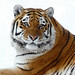 Gayle Moore Photo 1