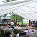 Susan Bourgeois Photo 35