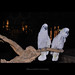 Michael Love Photo 11