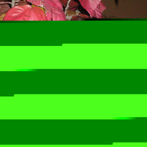 Gloria Galindo Photo 22