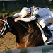 Todd Calvin Photo 9