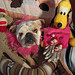 Randy Simons Photo 16