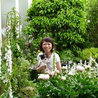 Kei Akiyama Photo 3