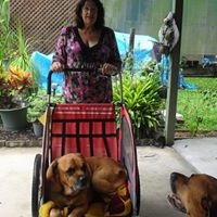 Colleen Mckeown Photo 10