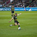 Stephen Stoops Photo 12