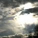 Stacy Rains Photo 18