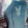 Heather Vansickle Photo 11
