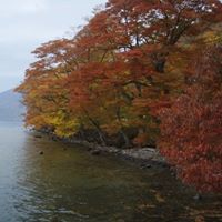 Roger Anderson Photo 21