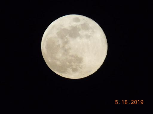 Stacy Pitts Photo 22