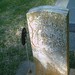 Richard Blackwell Photo 46