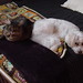 Shirley Duncan Photo 4