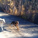Marsha Mack Photo 15