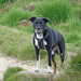 Heather Chance Photo 19
