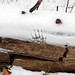 Nell Robertson Photo 8