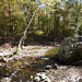 Albert Blaylock Photo 4