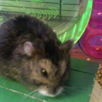 Julie Orman Photo 5