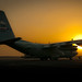 Dawn Greer Photo 9