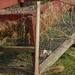 April Hammer Photo 16