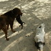Alicia Hinds Photo 15