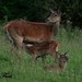 George Hinds Photo 8