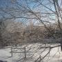 Donna Maynard Photo 31