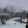 Jacob Roth Photo 19