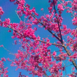 Tin Hoang Photo 29