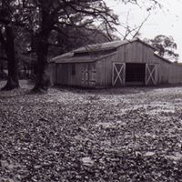 Cathie Gray Photo 5